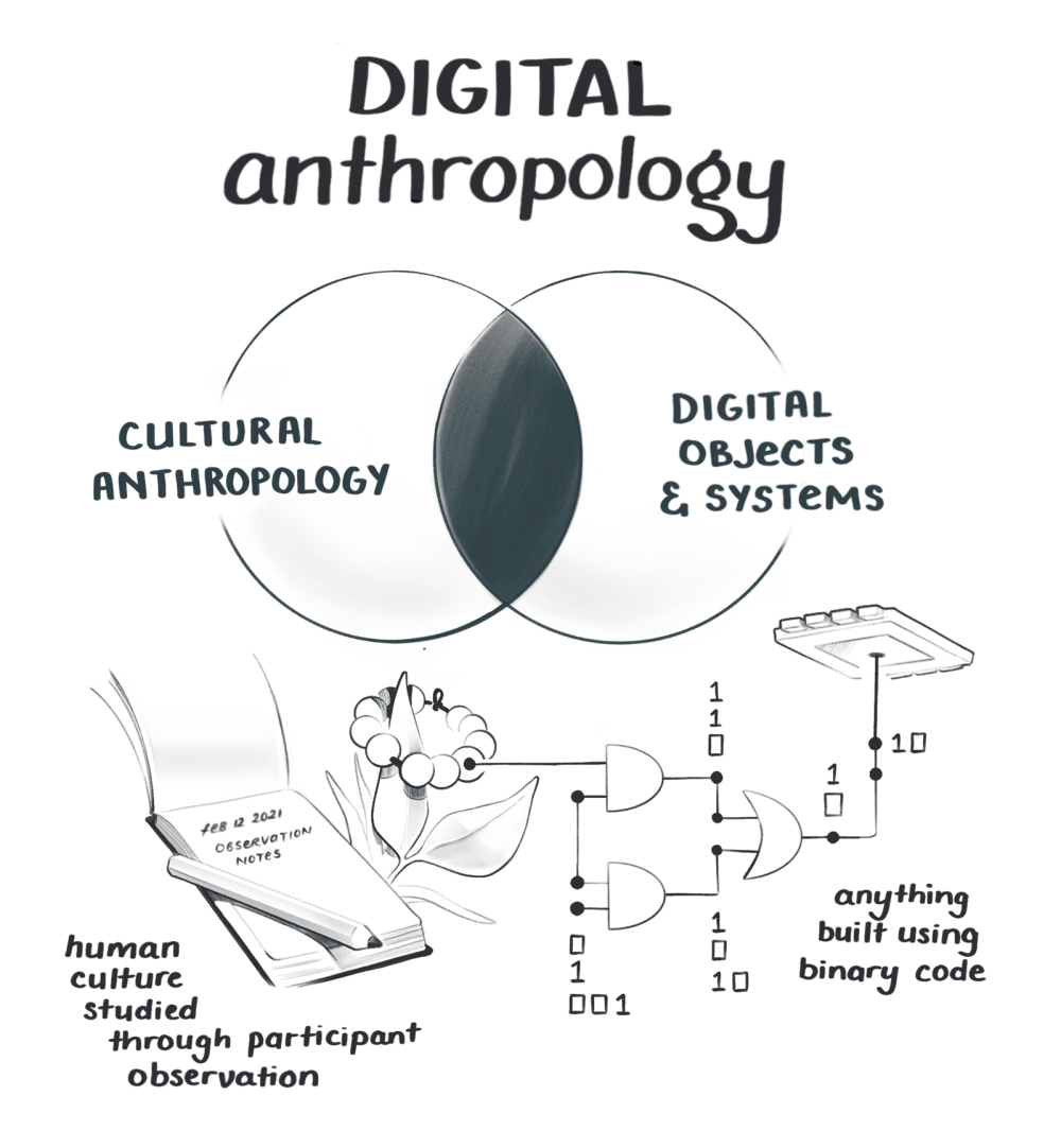 Digital anthropology